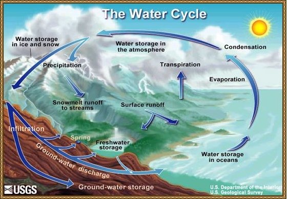 Water-Cycle.jpg