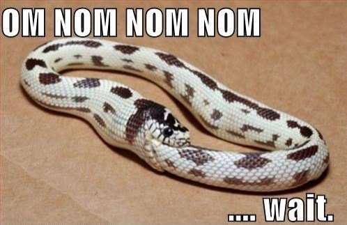 Nom.jpg