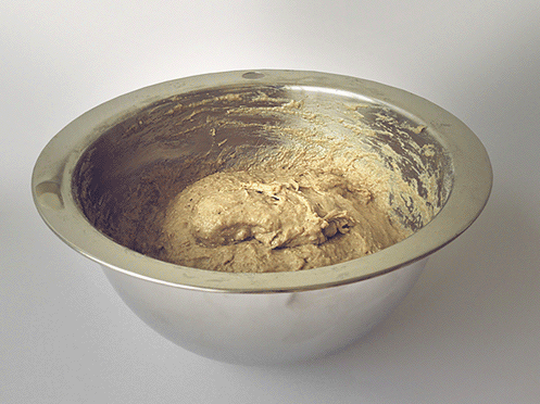 Yeast.gif